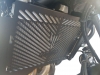 Radiator Guard